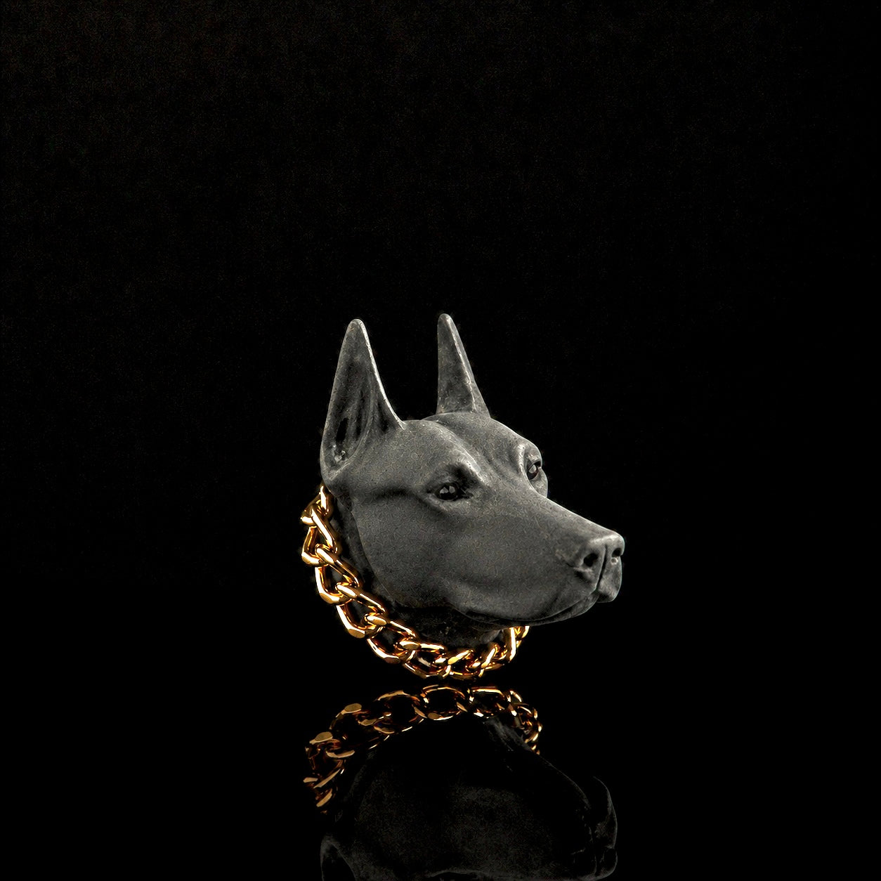 Doberman
